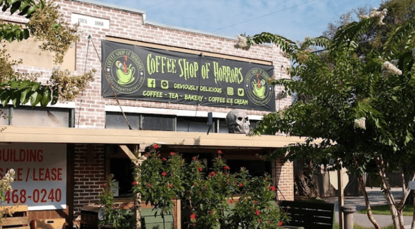 Thrills Are Brewing At Coffee Shop Of Horrors, A Horror-Themed Coffee Shop In Florida