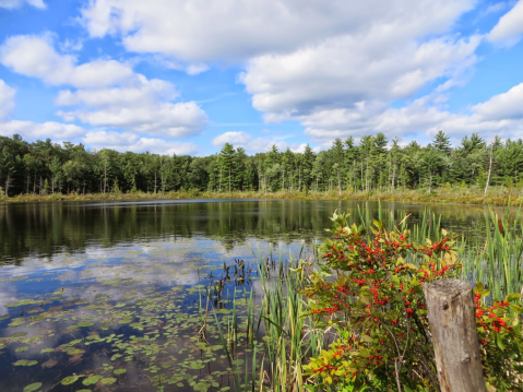 This Hidden Lake And Campground Is One Of The Least Touristy Places In Michigan