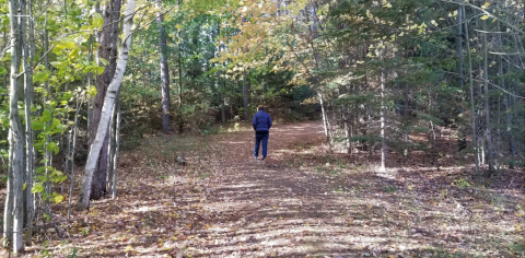 This Nature Preserve In Michigan Is So Hidden You’ll Probably Have It All To Yourself