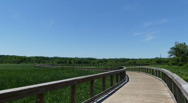 Take A Boardwalk Trail Through The Wetlands Of Neabsco Creek In Virginia