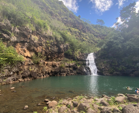 Take A Paved Trail Around Hawaii's Waimea Valley For A Peaceful Adventure