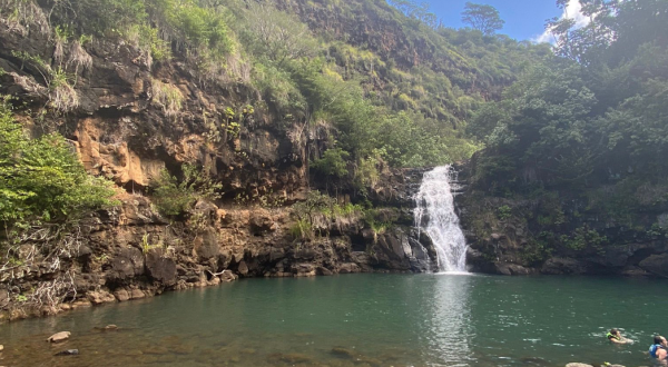 Take A Paved Trail Around Hawaii’s Waimea Valley For A Peaceful Adventure