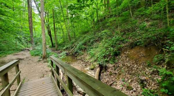 The Easy 1.2-Mile Hemlock Cliffs Trail Will Lead You Through The Indiana Forest