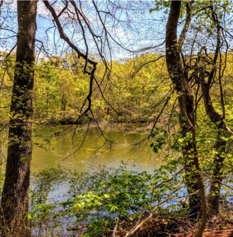 The Hike To New Jersey's Pretty Little Perrineville Lake Is Short And Sweet