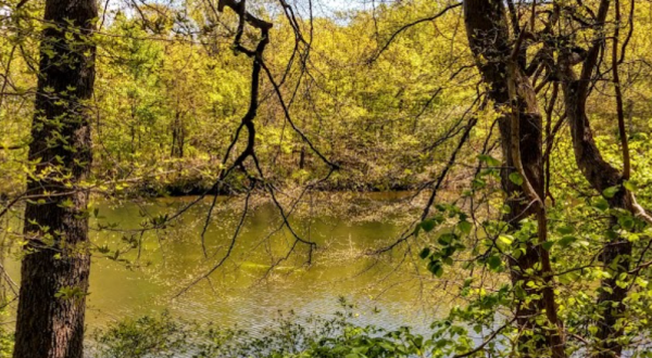The Hike To New Jersey’s Pretty Little Perrineville Lake Is Short And Sweet