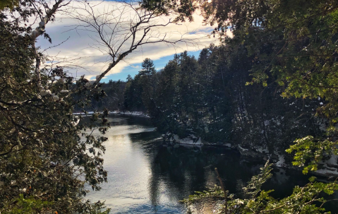 Take This Vermont Partially Paved Loop Trail Through A Forest For A Peaceful Adventure