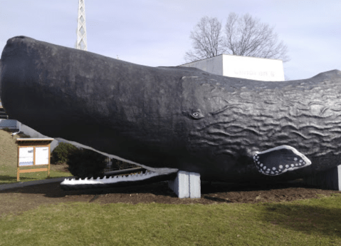 You Can Walk Through A Life-Sized Sperm Whale At This Kid-Friendly Museum In Connecticut