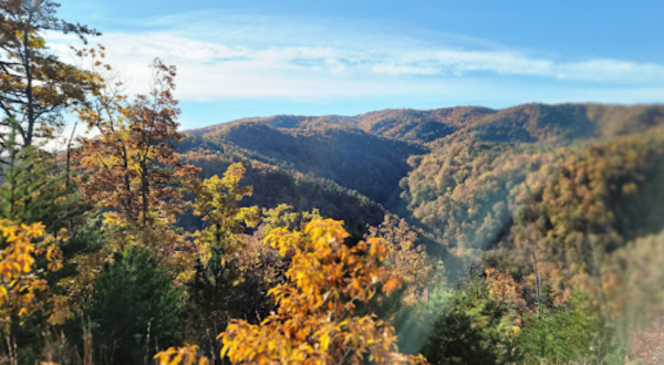 With Nearly 21,000 Acres To Explore, North Carolina’s Largest State Park Is Worthy Of A Multi-Day Adventure