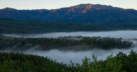 An Entire Tour Of The Great Smoky Mountains National Park Can Now Be Taken From Your Couch