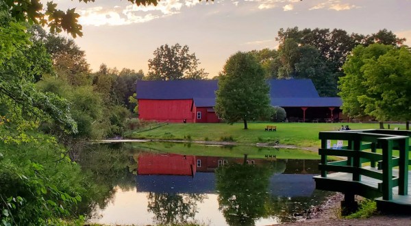 The Breathtaking Park In Connecticut Where You Can Play With Farm Animals