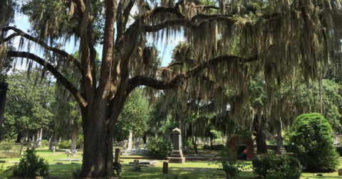 One Of The Most Haunted Cemeteries In Alabama Is Also One Of The Most Beautiful