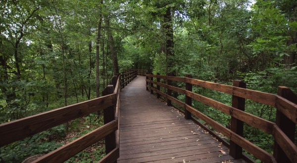 Take A Boardwalk Trail Through The Marshes Of Pisgah Lake In Indiana