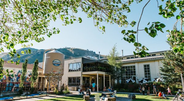Feast On Fresh Trout Caught Straight From Local Rivers At This Wyoming Brewpub