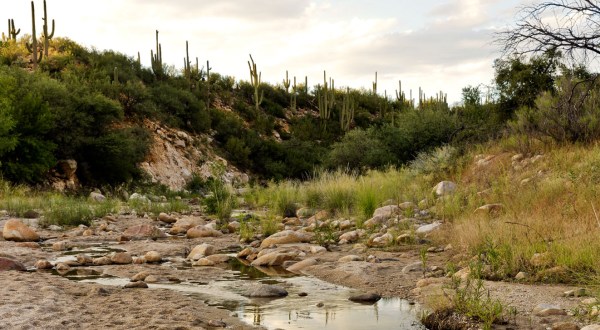 With More Than 5,000 Acres To Explore, Arizona’s Largest State Park Is Worthy Of A Multi-Day Adventure