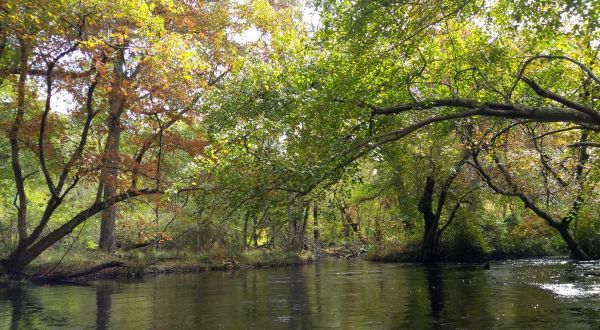 There’s Almost Nothing In Life A Day On New Jersey’s Egg Harbor River Can’t Cure