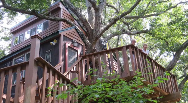 3 Little-Known Tree Houses Hiding In Illinois That Will Bring Out Your Sense Of Adventure