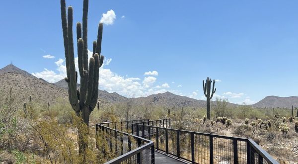 Take A Boardwalk Trail Through The Mountains Of The McDowell Sonoran Preserve In Arizona