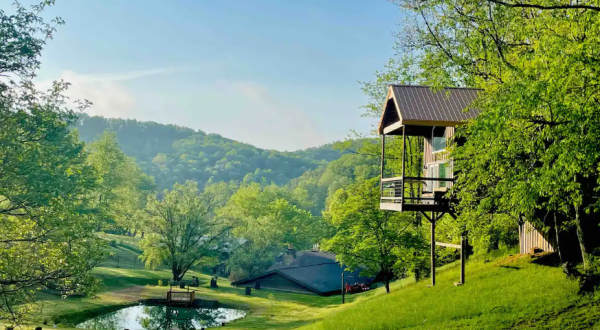 Visit The Hang-Over, A Beautiful Winery Treehouse In West Virginia