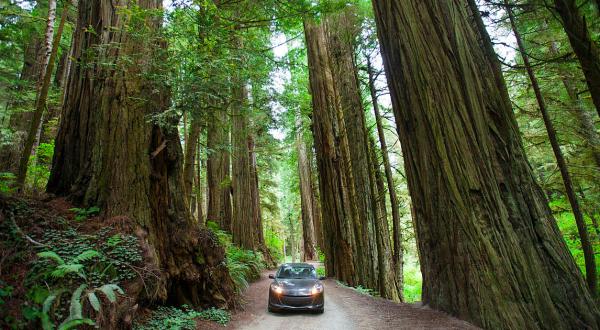 These 19 State Parks In Northern California Will Knock Your Socks Off