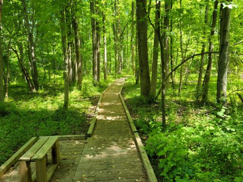 This State Park In New Jersey Is So Little Known, You'll Practically Have It All To Yourself
