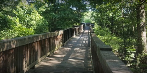 Take A Boardwalk Trail Through The Bottomland Hardwood Forest Of The Deep Fork National Wildlife Refuge In Oklahoma
