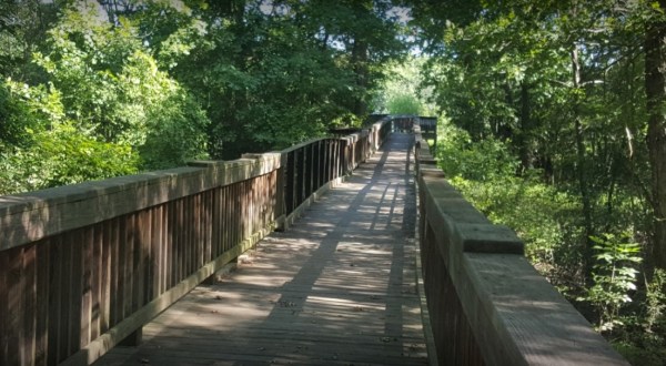 Take A Boardwalk Trail Through The Bottomland Hardwood Forest Of The Deep Fork National Wildlife Refuge In Oklahoma