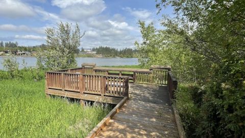 Take A Boardwalk Trail Through The Wetlands Of Blackwell Island In Idaho