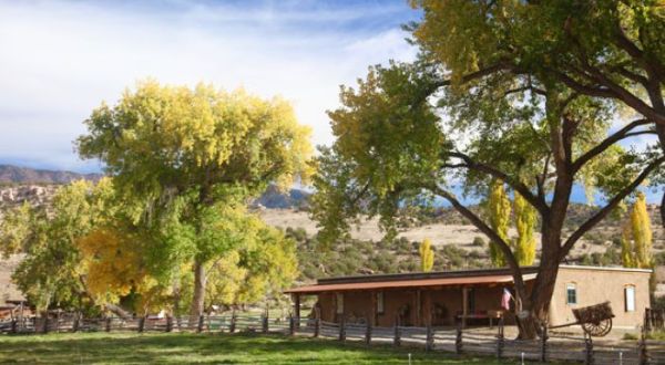 If You Visit The World-Famous Mesa Verde National Park In Colorado, You Must Stay At The Incredible Canyon of the Ancients Guest Ranch