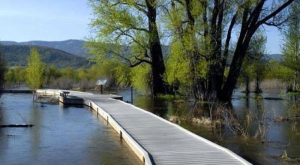 Take A Boardwalk Trail Through The Wetlands Near The Yampa River In Colorado