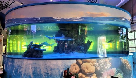 Dine With Sharks And Play Arcade Games At This One-Of-A-Kind Restaurant In Maryland