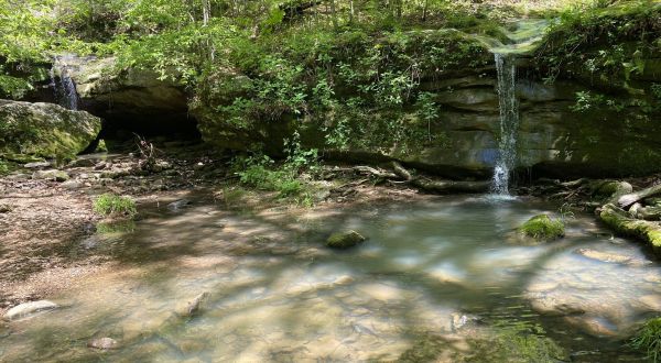 Rebman Trail Is A Beginner-Friendly Waterfall Trail In Illinois That’s Great For A Family Hike