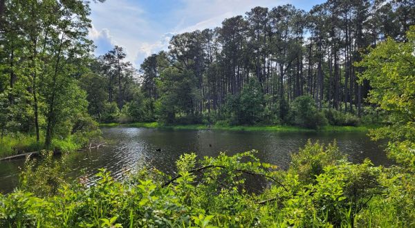 The 3.5 Mile Hike Around The Indian Creek Reservoir In Louisiana Is Short And Sweet