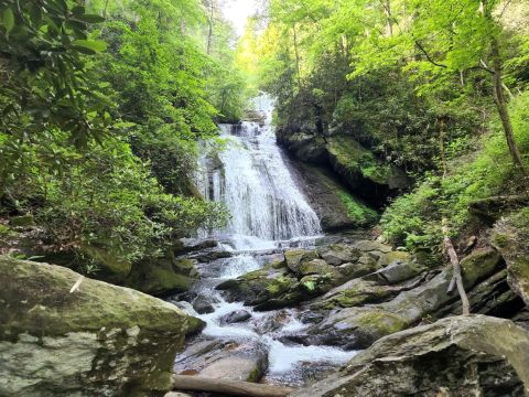 Hike Through South Carolina's Sumter National Forest, Then Dine At Belle's Bistro