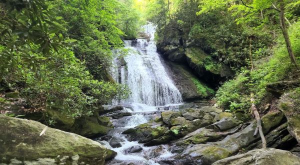 Hike Through South Carolina’s Sumter National Forest, Then Dine At Belle’s Bistro