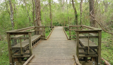 Take A Scenic Hike On This Shaded, Kid-Friendly Trail In Louisiana