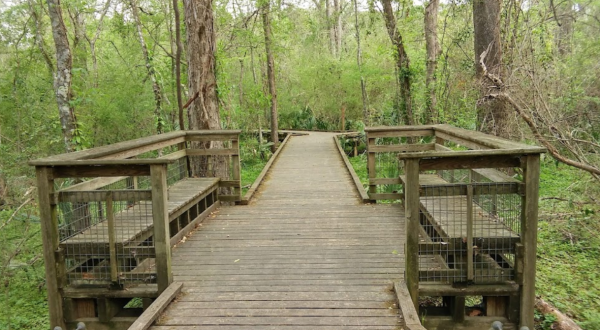Take A Scenic Hike On This Shaded, Kid-Friendly Trail In Louisiana