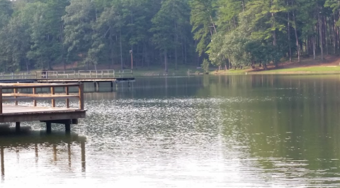 Tiny But Mighty, The Smallest State Park In Mississippi Is A Hidden Gem Worth Exploring