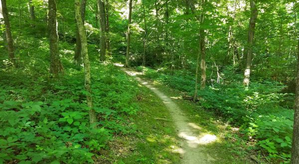 Wander Through The Forest And Marvel At Wildlife On This Fairy Tale Trail In Missouri