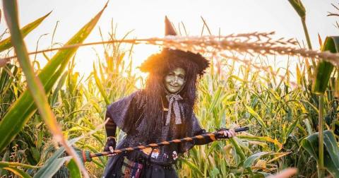 Get Lost In These 6 Awesome Corn Mazes In Utah This Fall