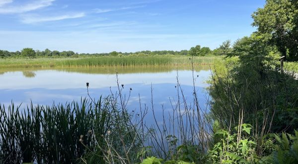 Take An Easy Loop Trail Past Some Of The Prettiest Scenery In Illinois On The Wetland Loop Trail