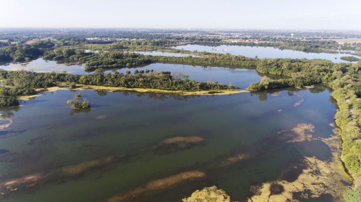 Aerial view of Lake Renwick Nature Preserve in Illinois