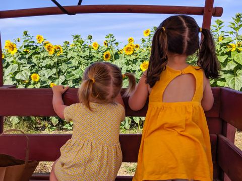 Johnson's Farm Discovery Barnyard In New Jersey Is The Stuff Of Childhood Dreams