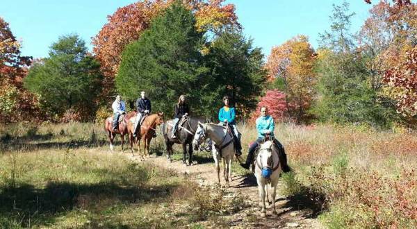 Take A Fall Foliage Trail Ride On Horseback At Bear Creek In Missouri