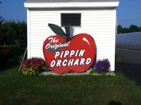 Get Your Apple Cider Donut Fix From This Legendary Rhode Island Orchard