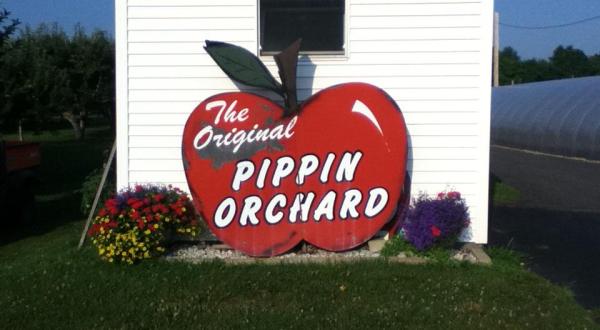 Get Your Apple Cider Donut Fix From This Legendary Rhode Island Orchard