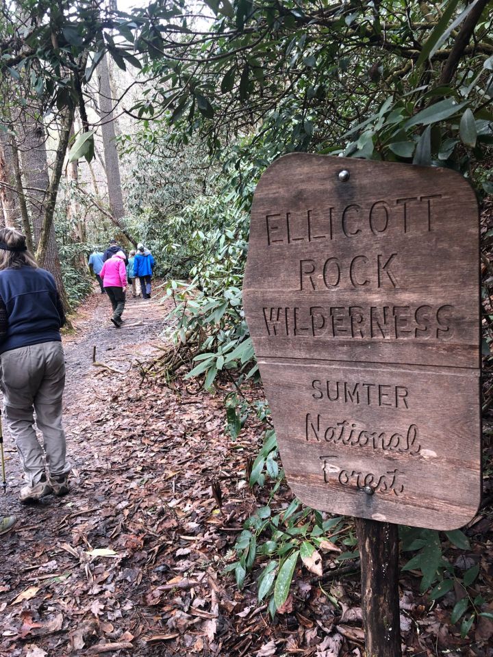 ellicott rock wilderness chattooga river trail