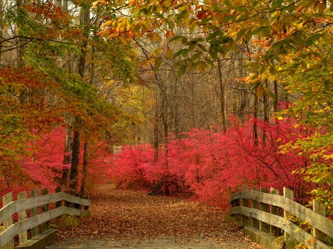 This Historic Park Is One Of New Jersey's Best Kept Secrets