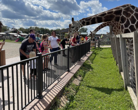 There's A Arboretum Next To A Safari Park In Minnesota, Making For A Fun-Filled Family Outing