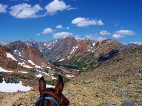 Take A Fall Foliage Trail Ride On Horseback At Virginia Lakes Pack Outfit In Northern California