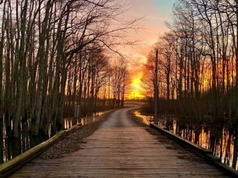 Take A Boardwalk Trail Through The Swamp Of The Ghost River In Tennessee